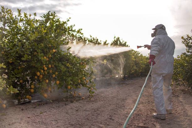 Best Commercial Pest Control Services  in Bowie, MD